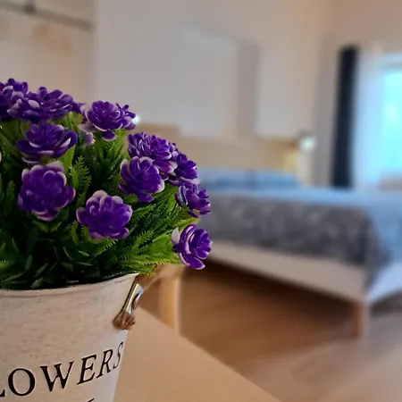 Il Cortile Oda ve Kahvaltı