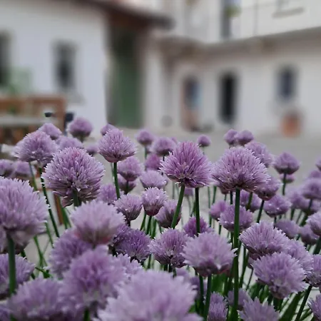 Oda ve Kahvaltı Il Cortile